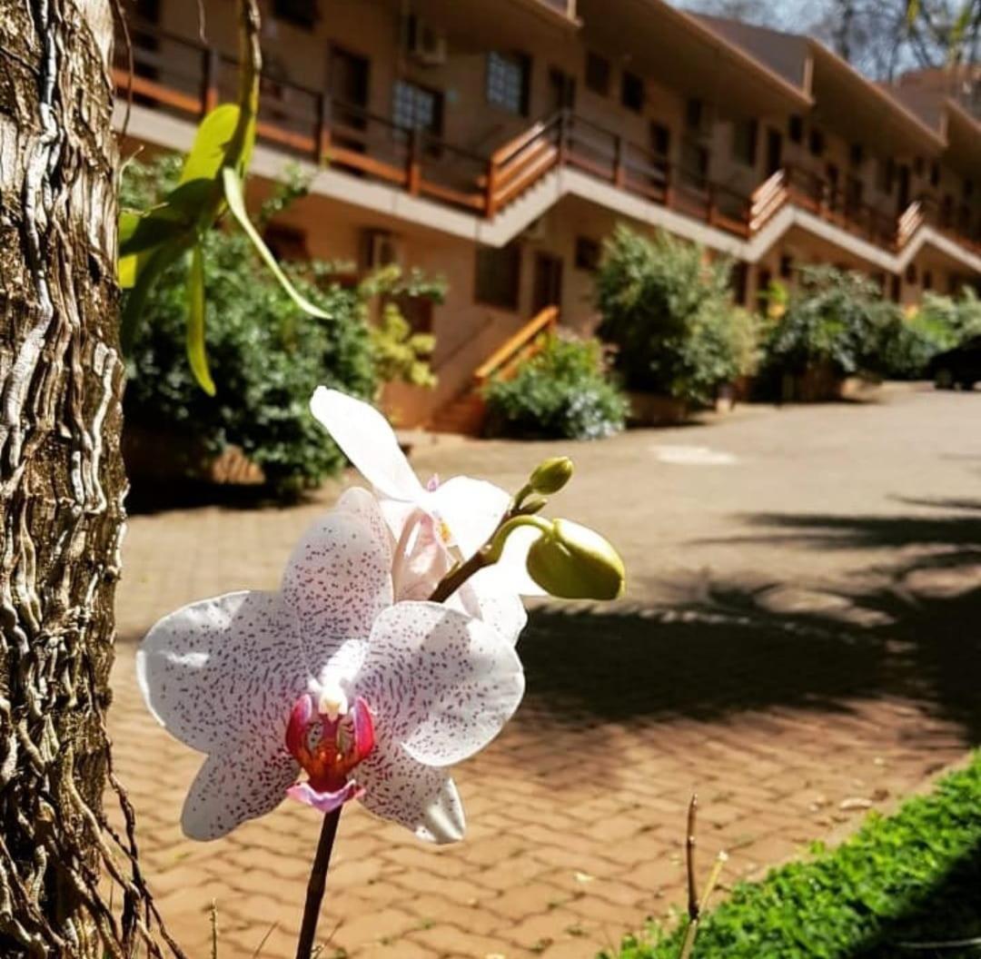 Hotel Pousada Santa Rita Ribeirão Preto Eksteriør bilde